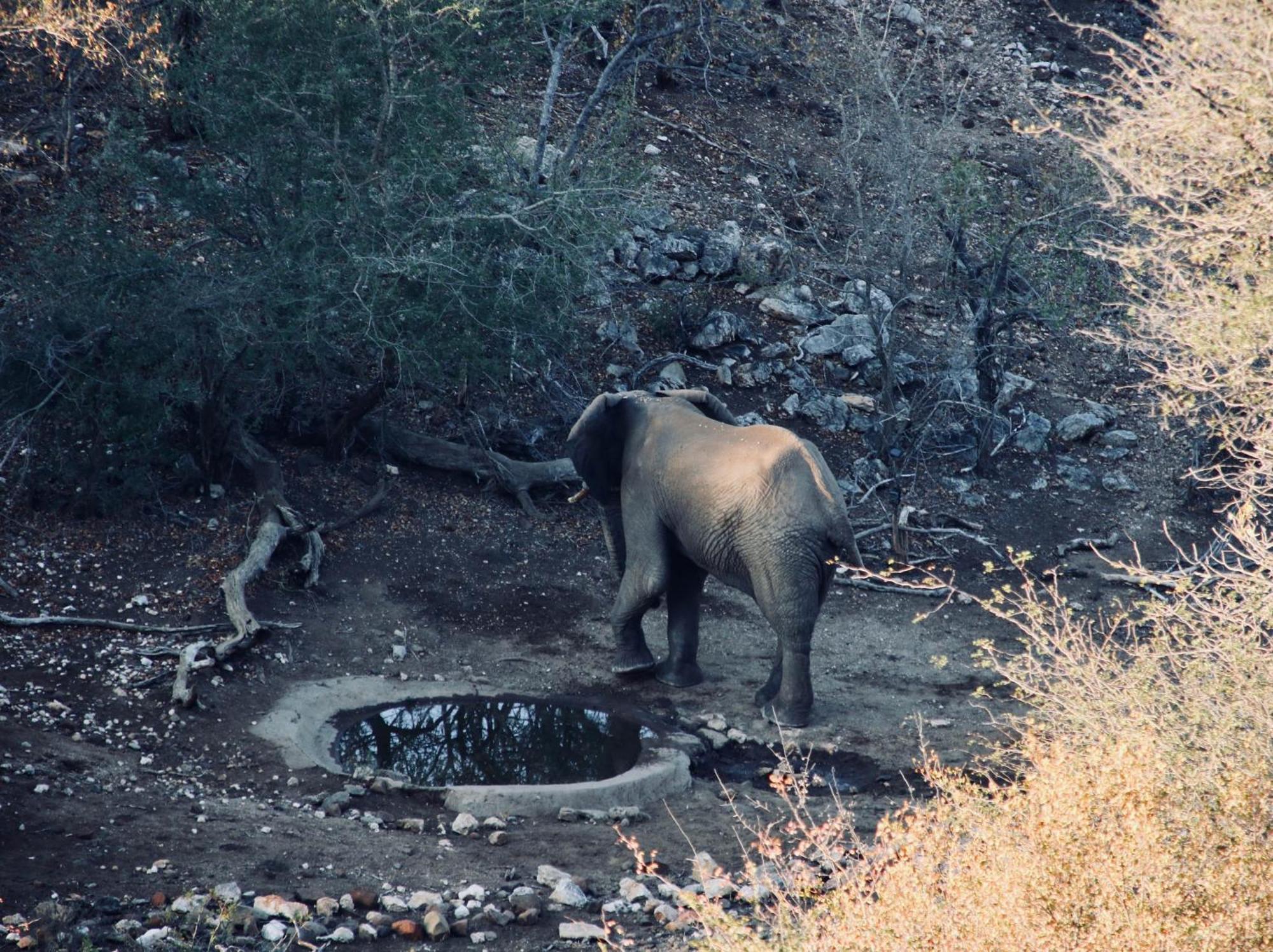 Parsons Hilltop Safari Camp Balule Game Reserve Exterior photo